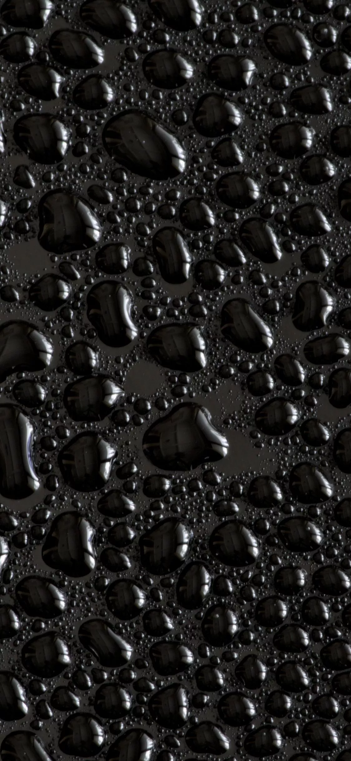 Water droplets Wallpaper 4K, Black
