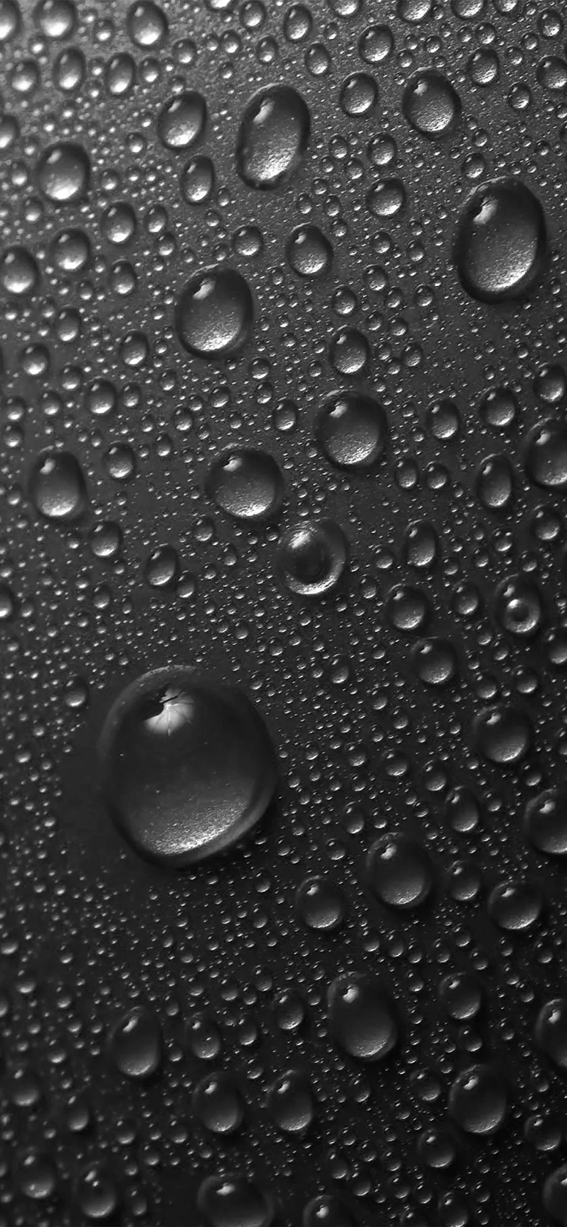 Rain Drop Bw Water Sad Pattern Dark
