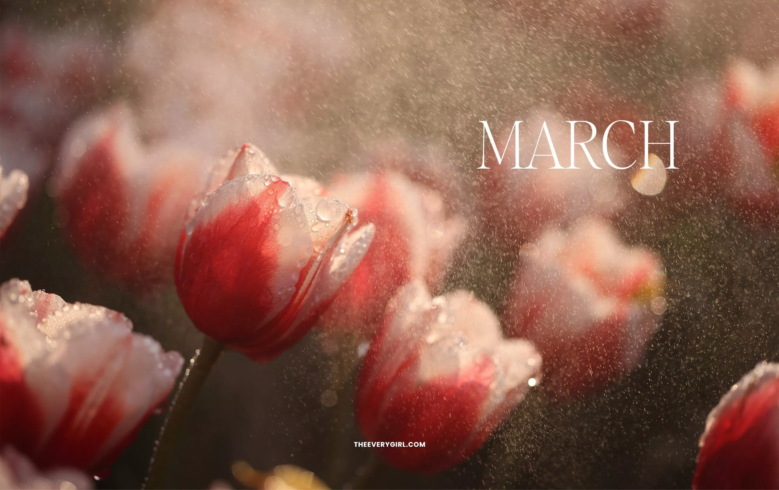 March Tech Background: Free Spring