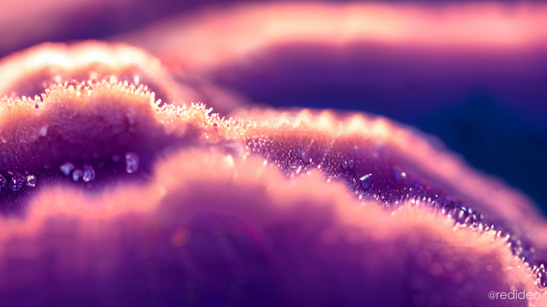 Macro AI Image: Background