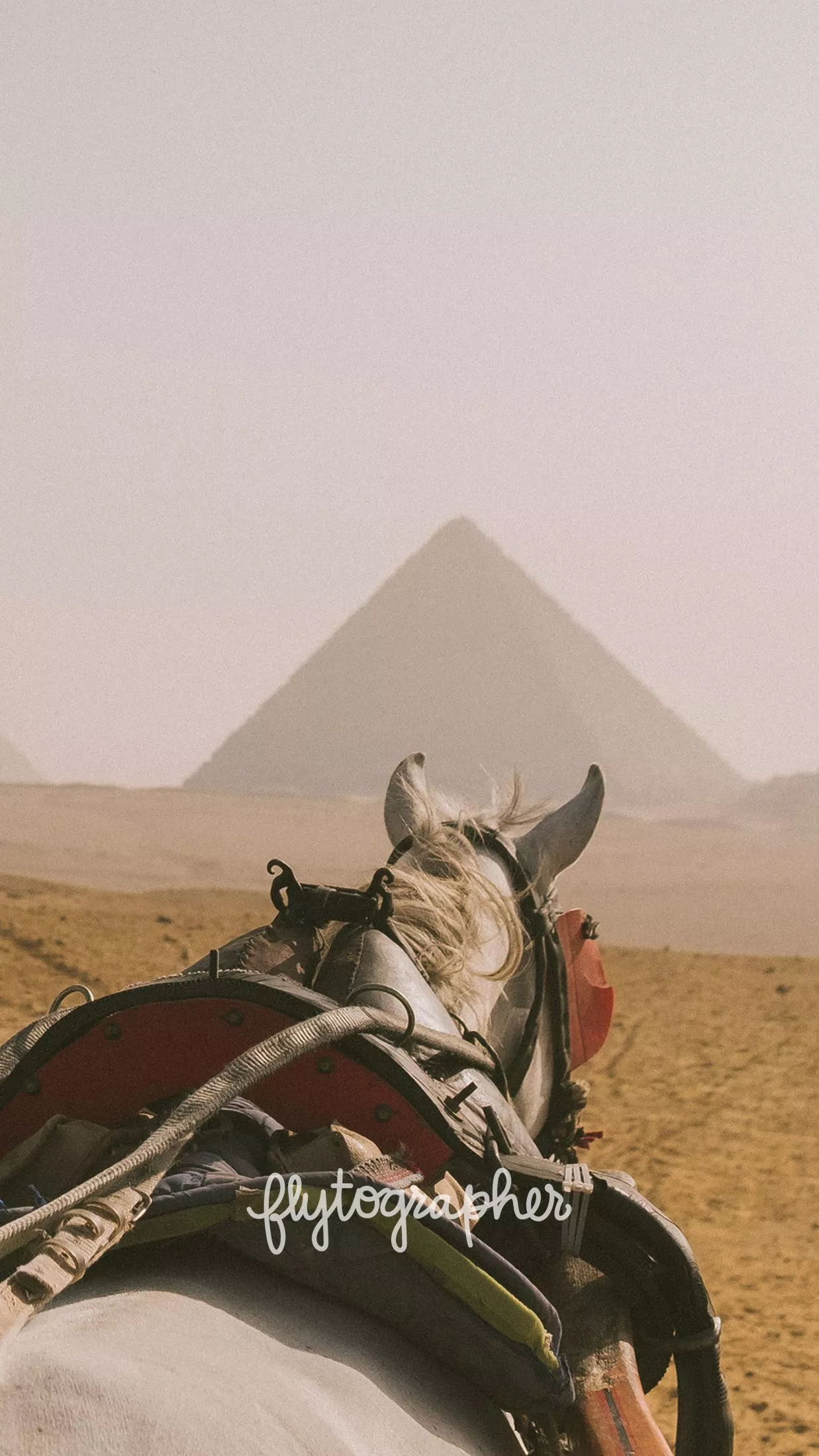 Flytographer Wallpaper