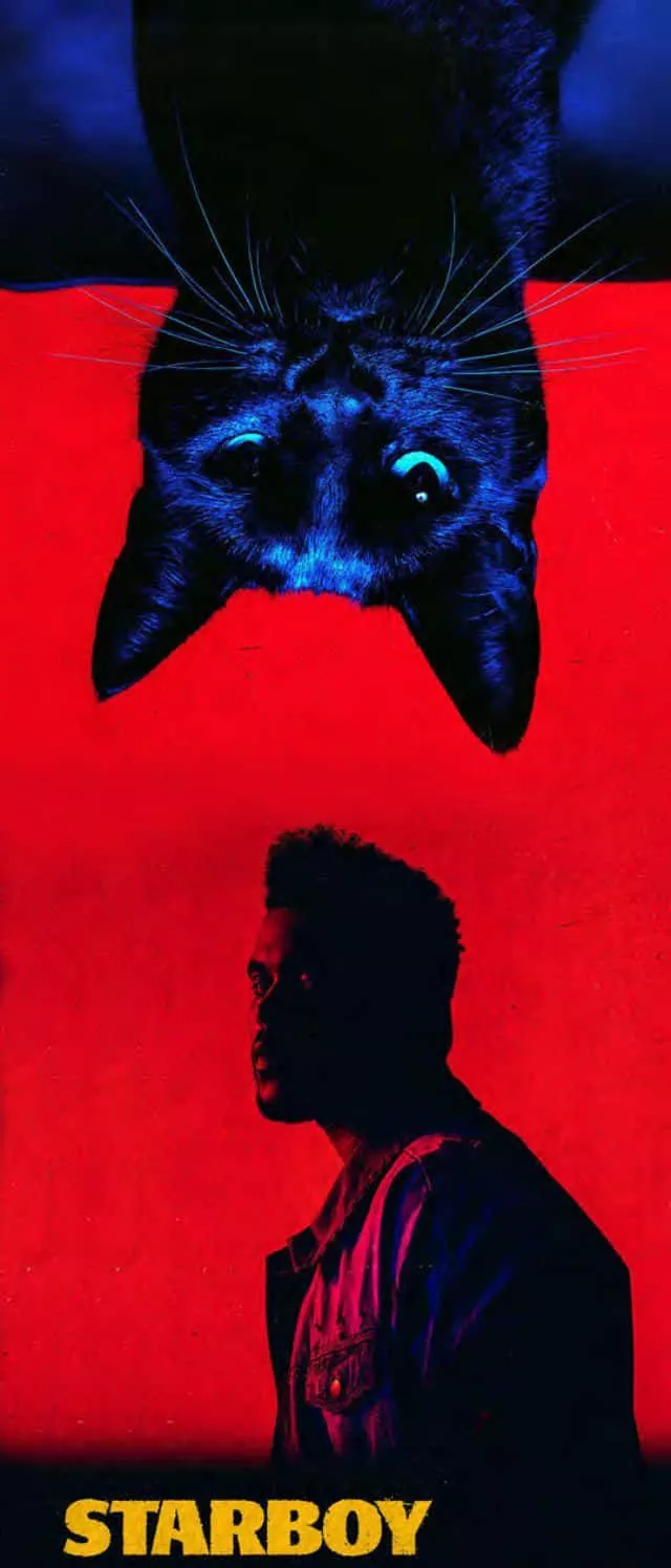 Download The Weeknd Starboy Poster