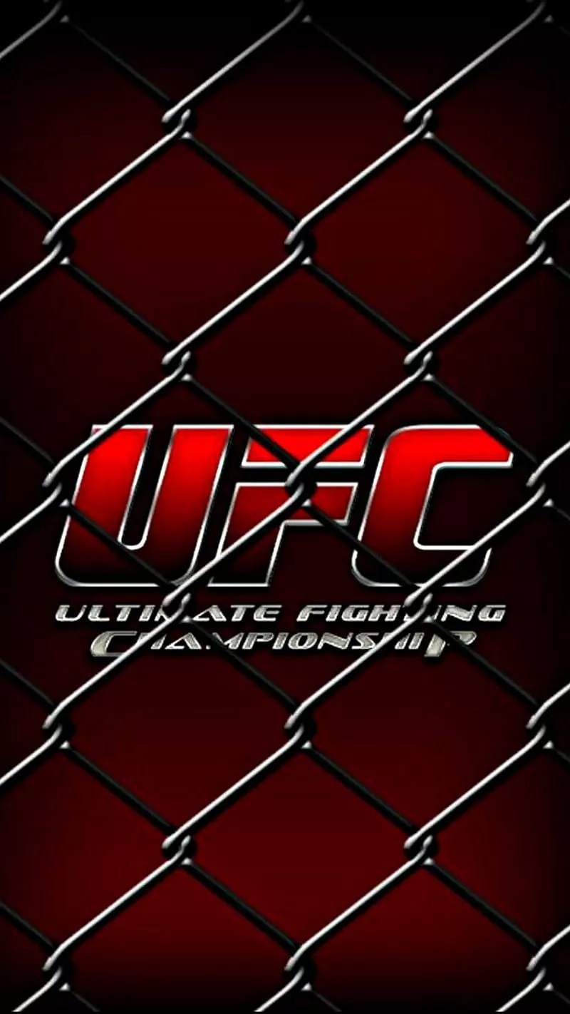 UFC, mma, fight, cage, HD phone