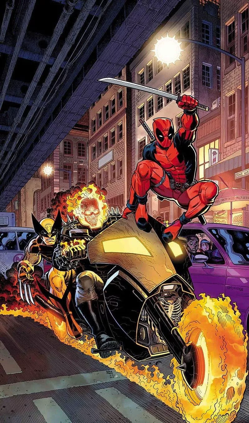 wolverine, HD phone wallpaper