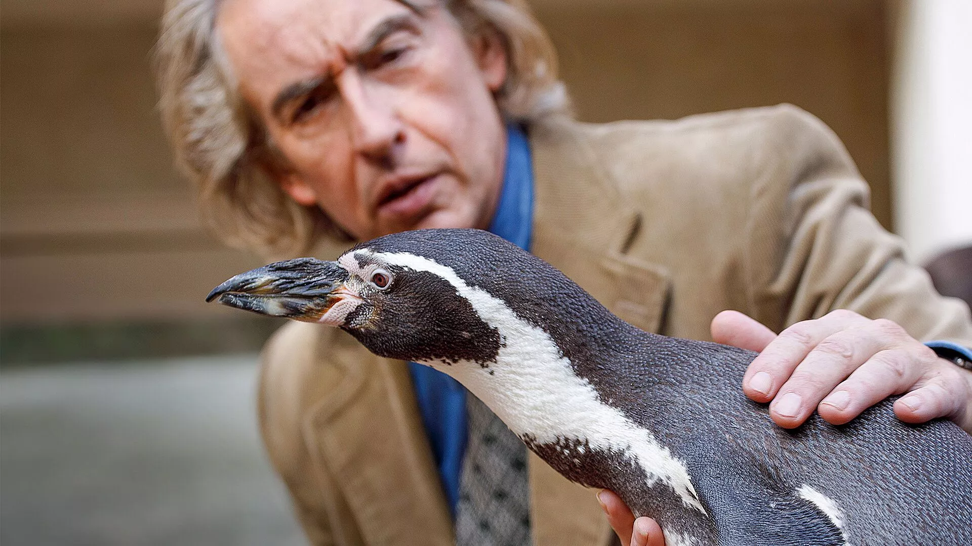 THE PENGUIN LESSONS