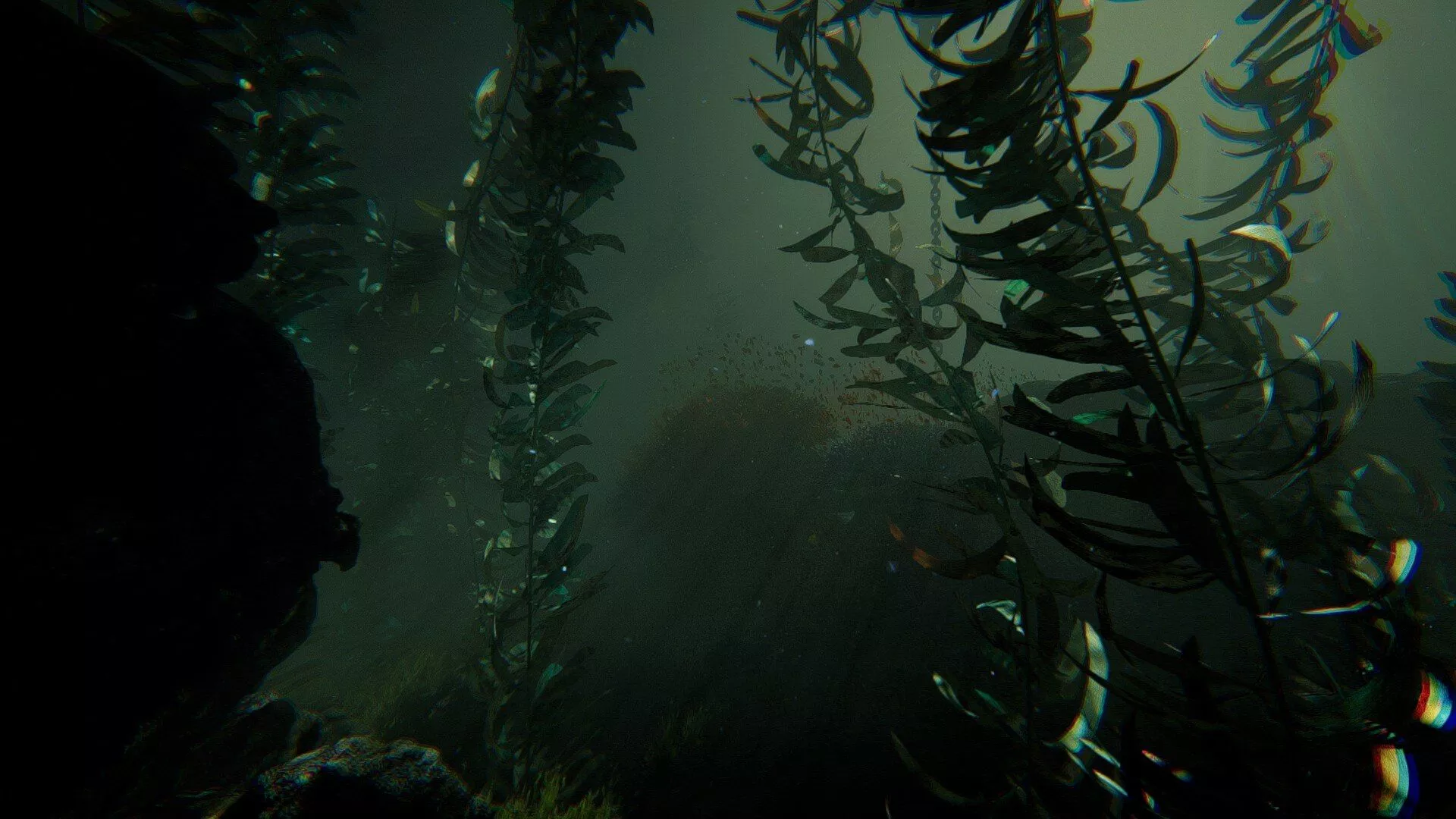 Neil Jones in the Water 2