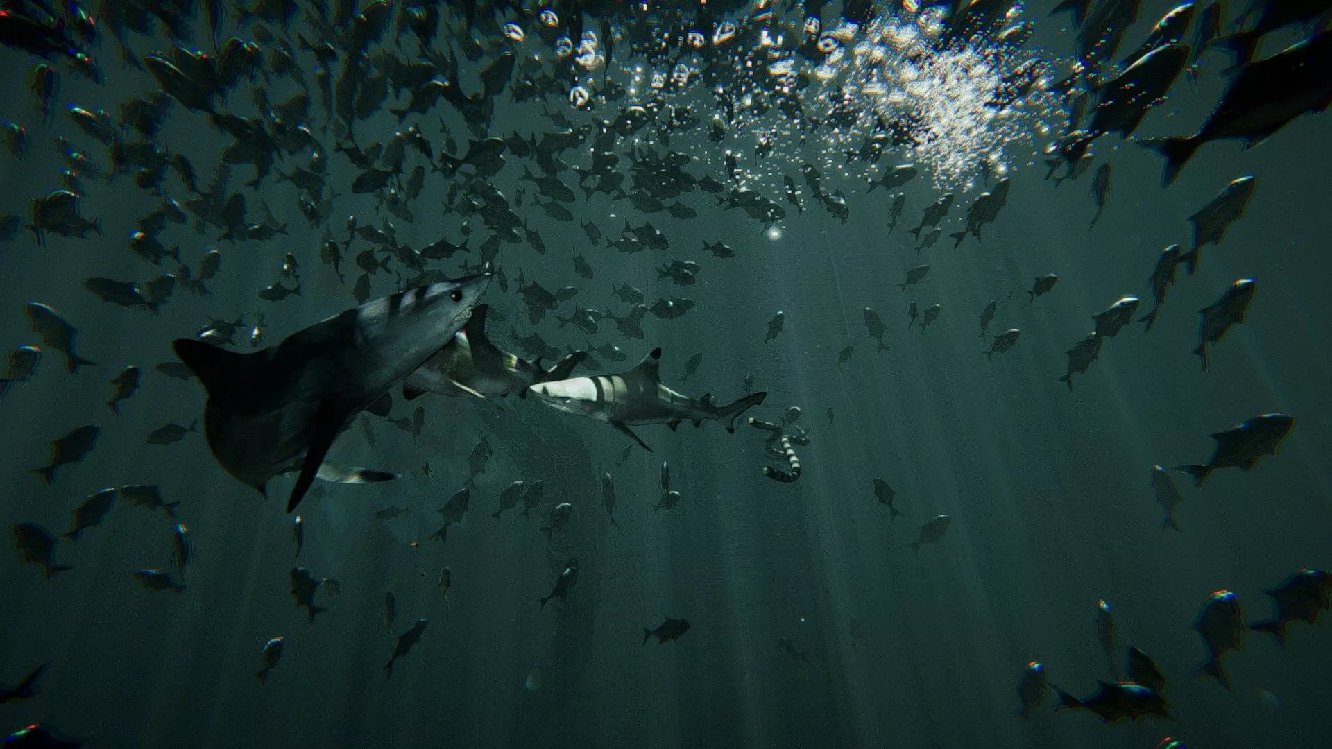 Neil Jones in the Water 2