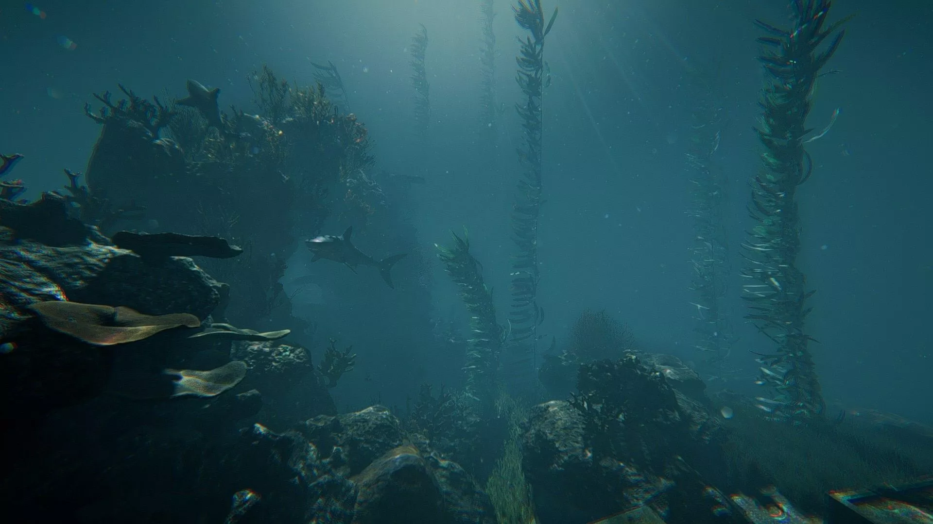 Neil Jones in the Water 2