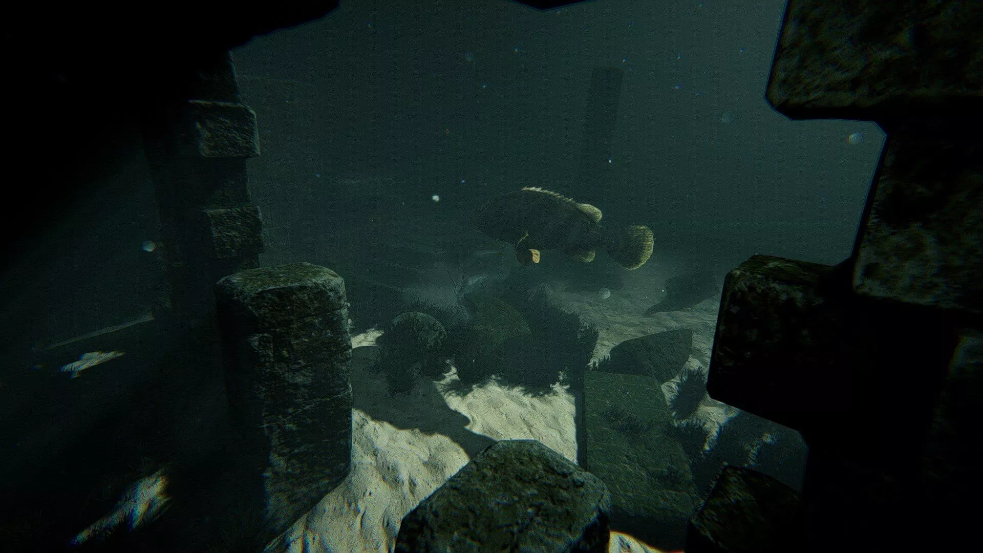 Neil Jones in the Water 2