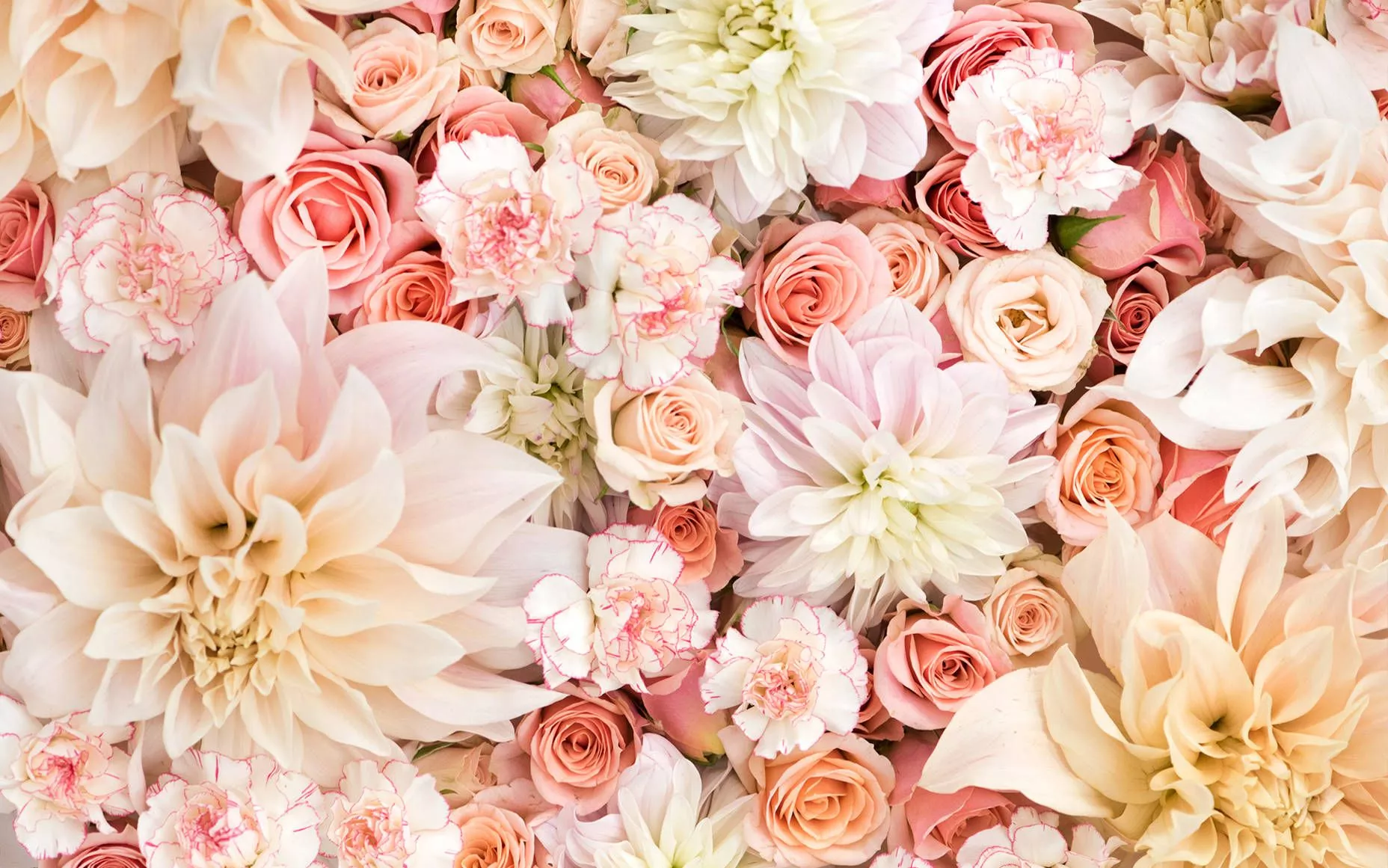 Charming Floral Pastels Aesthetic On A