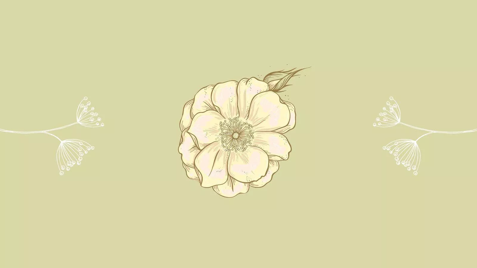 Download Bright White Minimalist Flower