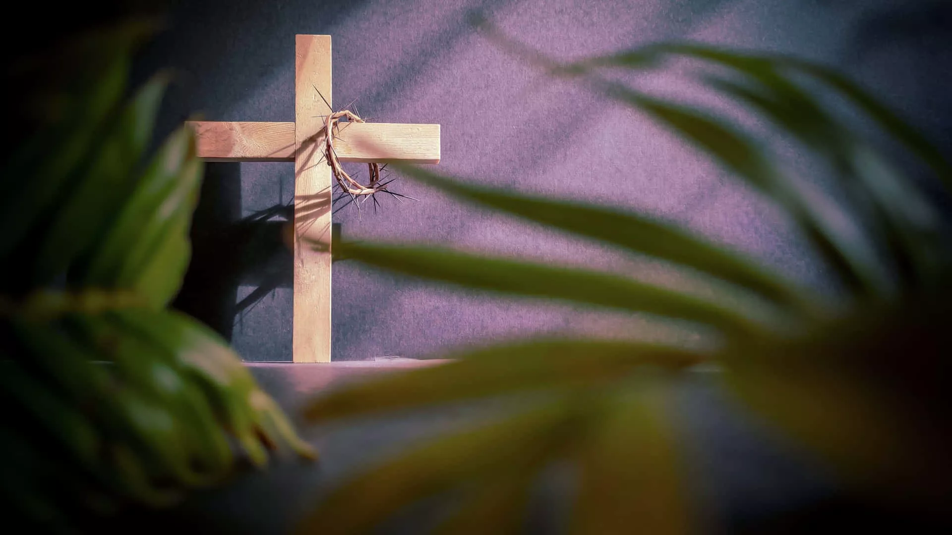 Lent Picture