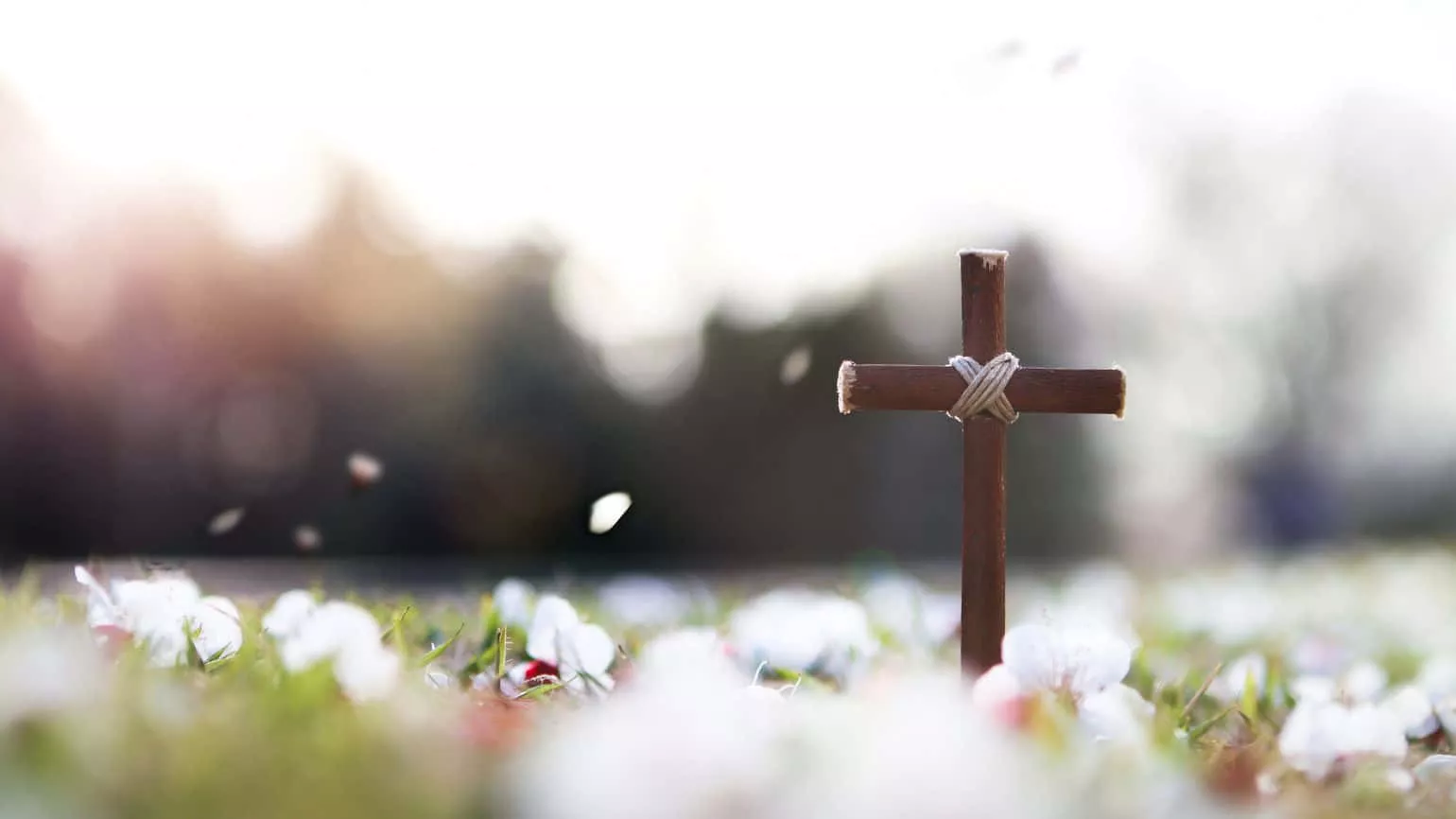 Lent Picture