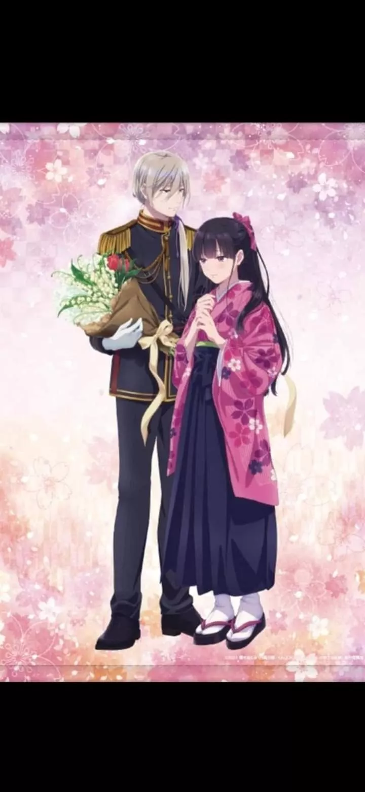 Happy marriage, Anime romance