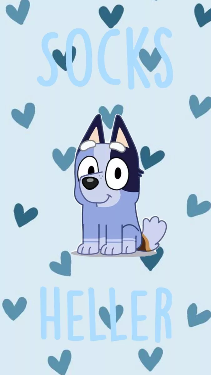 Socks heller bluey wallpaper. Cute