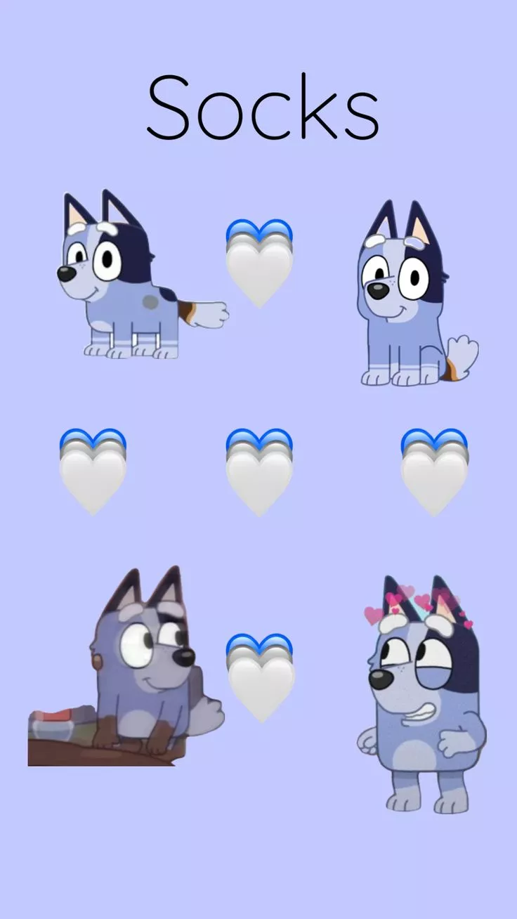 socks #bluey #cute #followme