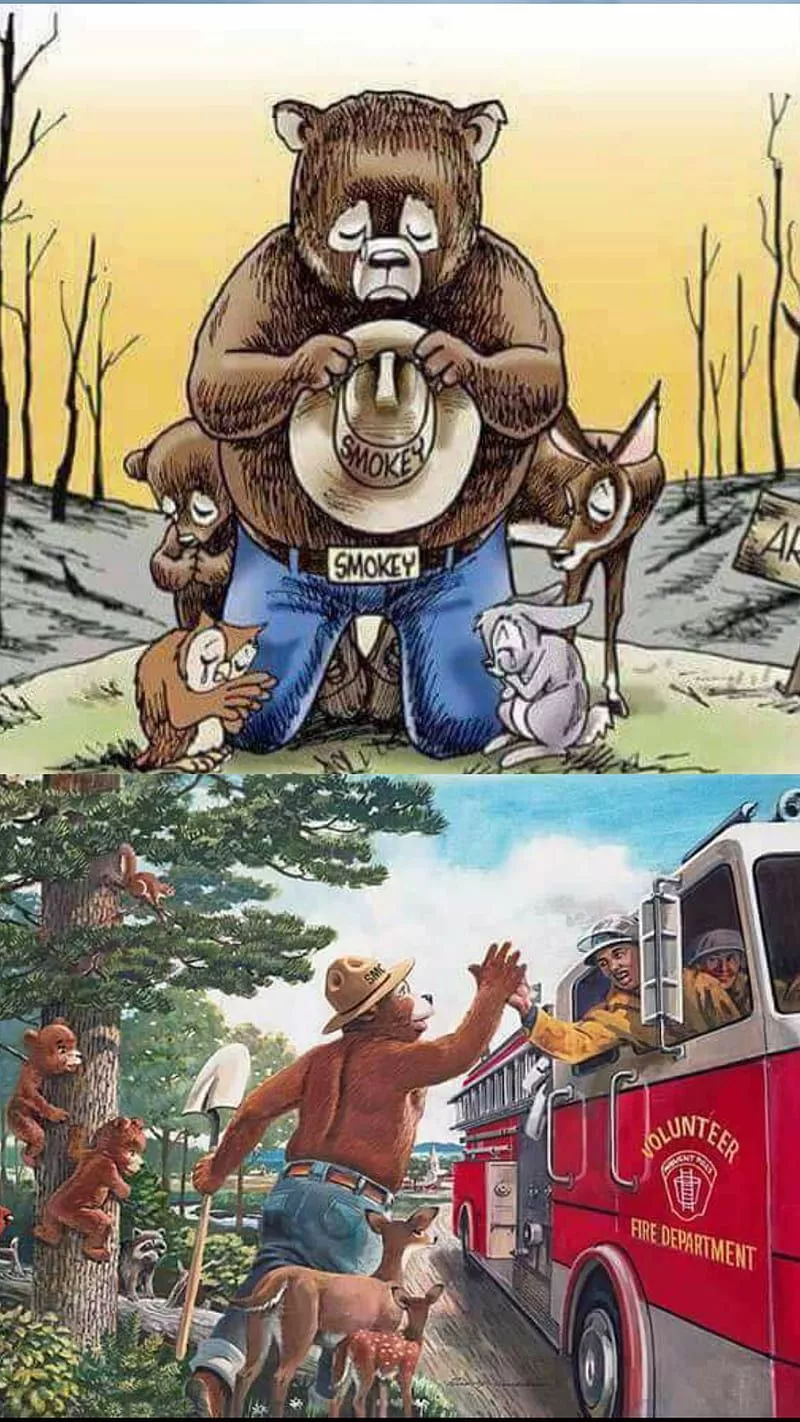 HD smoky bear wallpaper