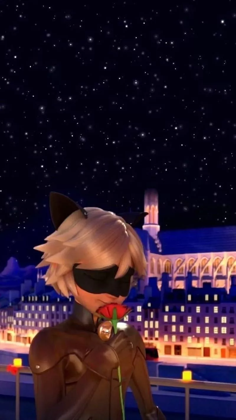 Chat noir, miraculous, HD phone