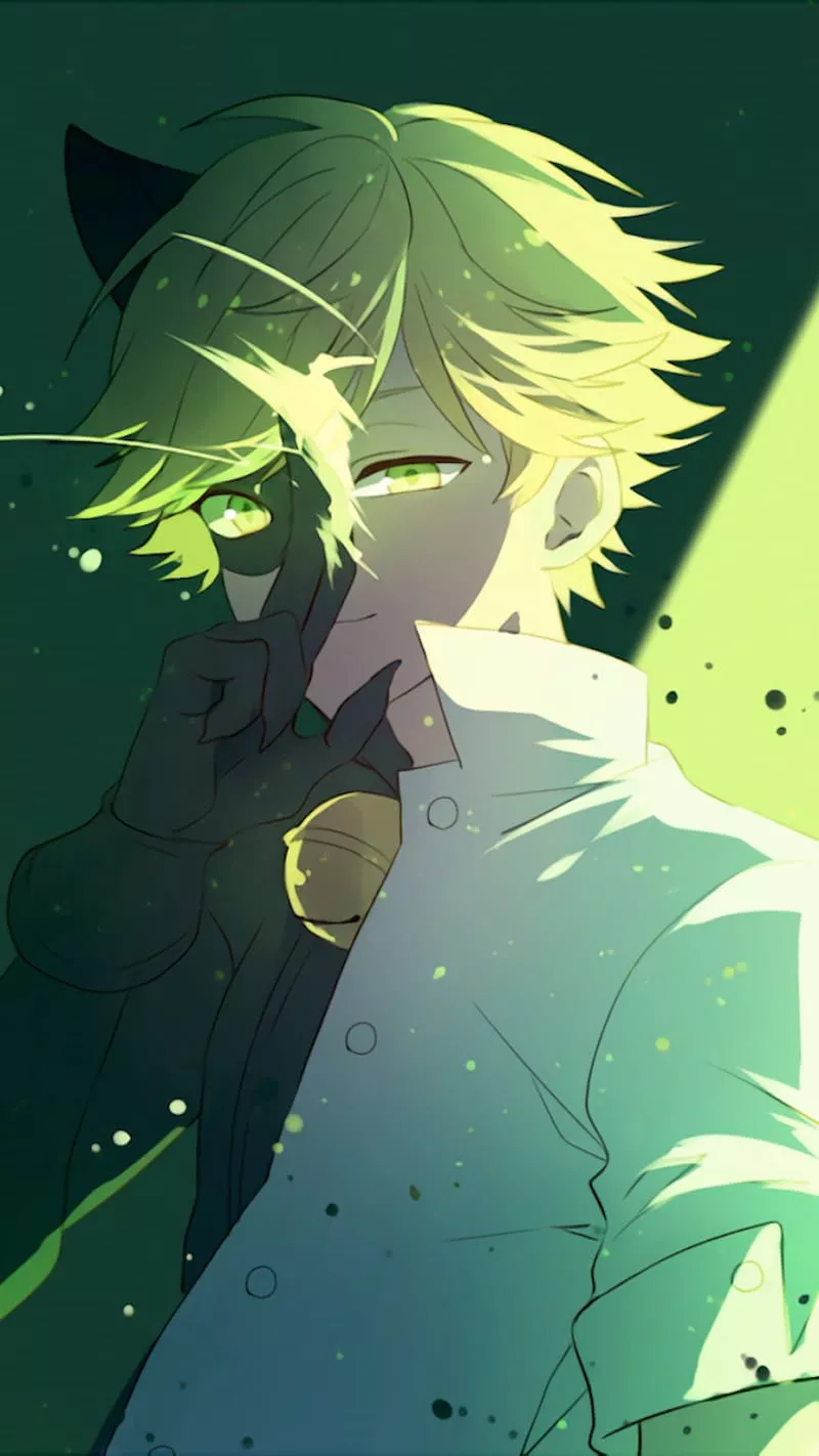 adrien, agreste, cat, chat, chat noir