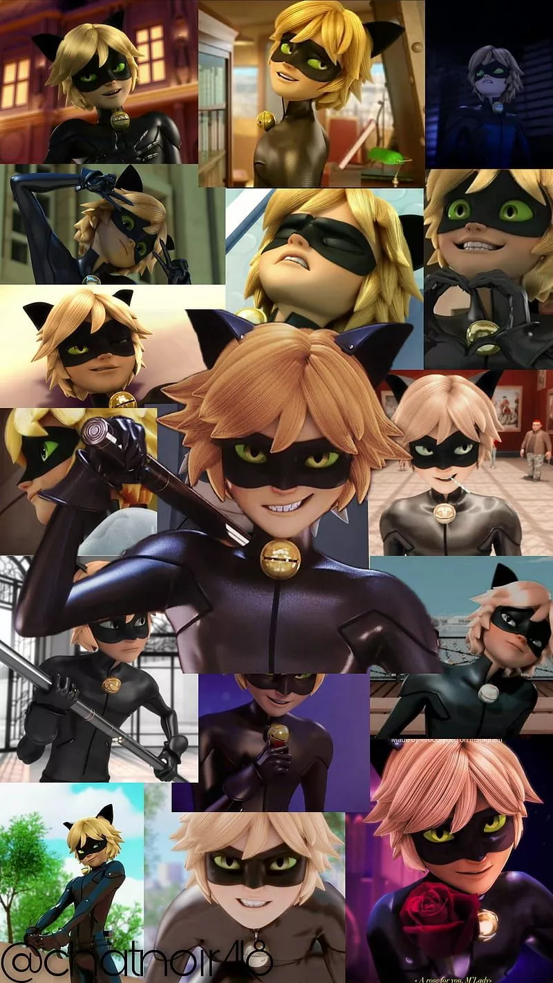 Chat Noir, catnoir, miraculous, HD