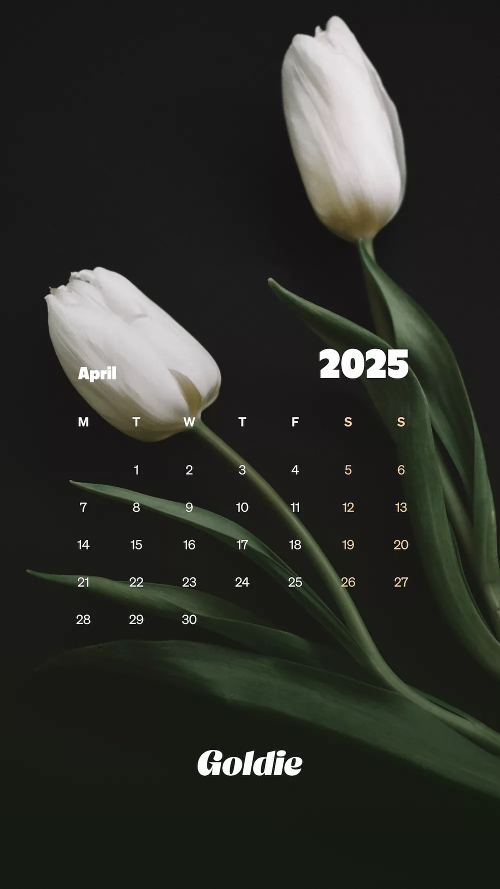 Free April 2025 Calendar Wallpaper