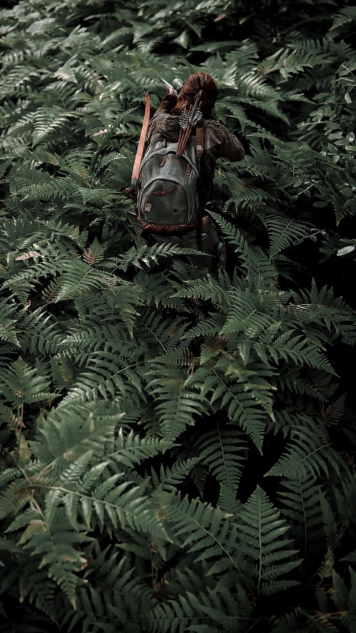 the last of us 1080P, 2K, 4K, 5K HD