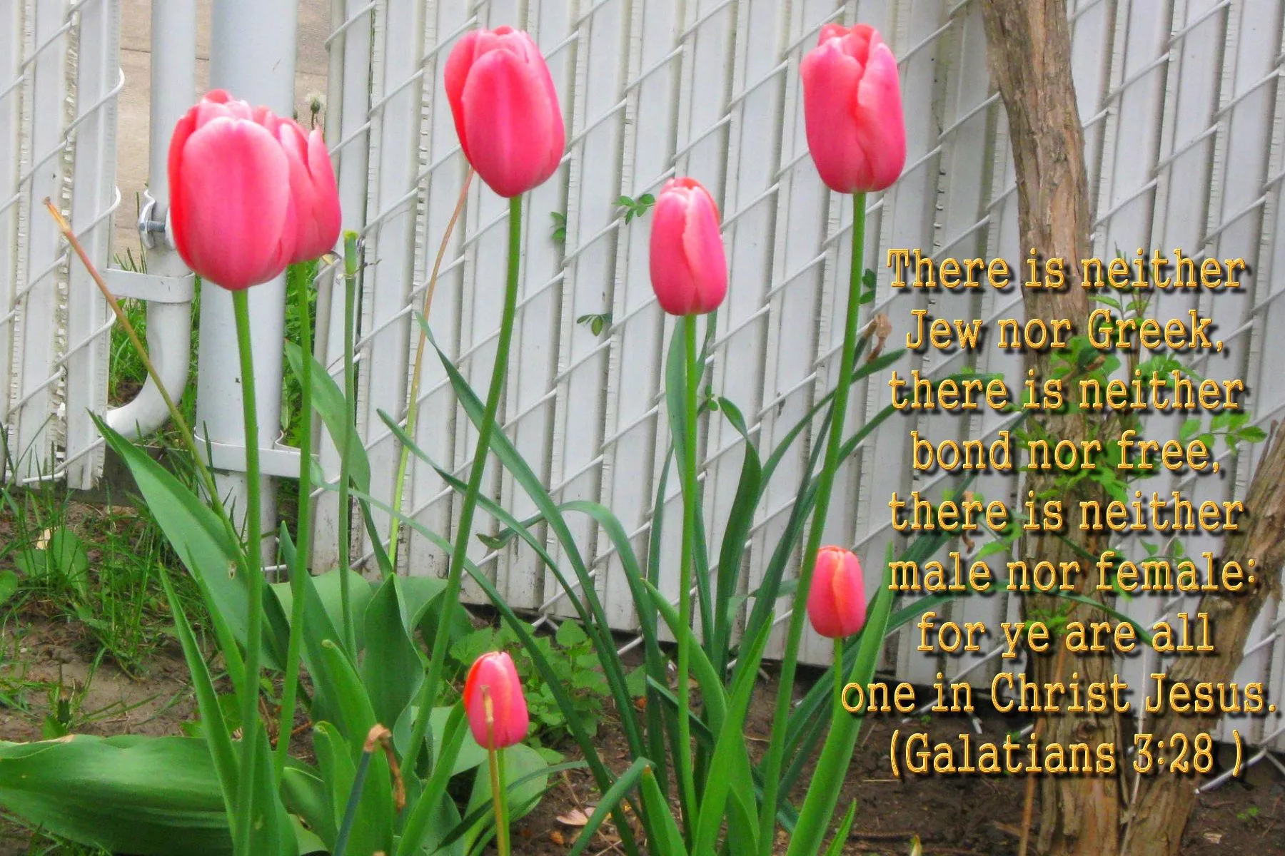 BIBLE VERSES SPRING large- WALLPAPERS