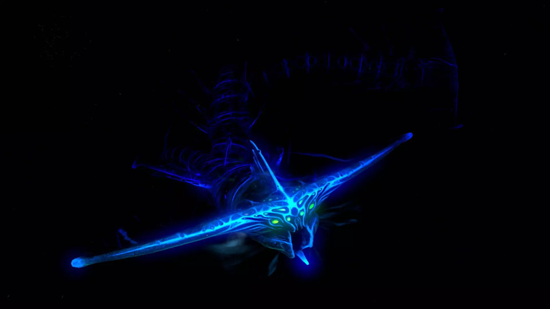 Ghost Leviathan Wallpaper