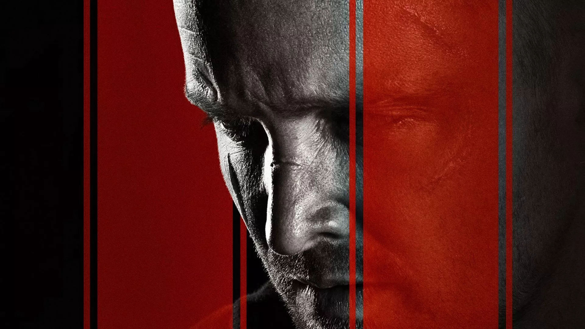 Download Jesse Pinkman Aaron Paul Movie