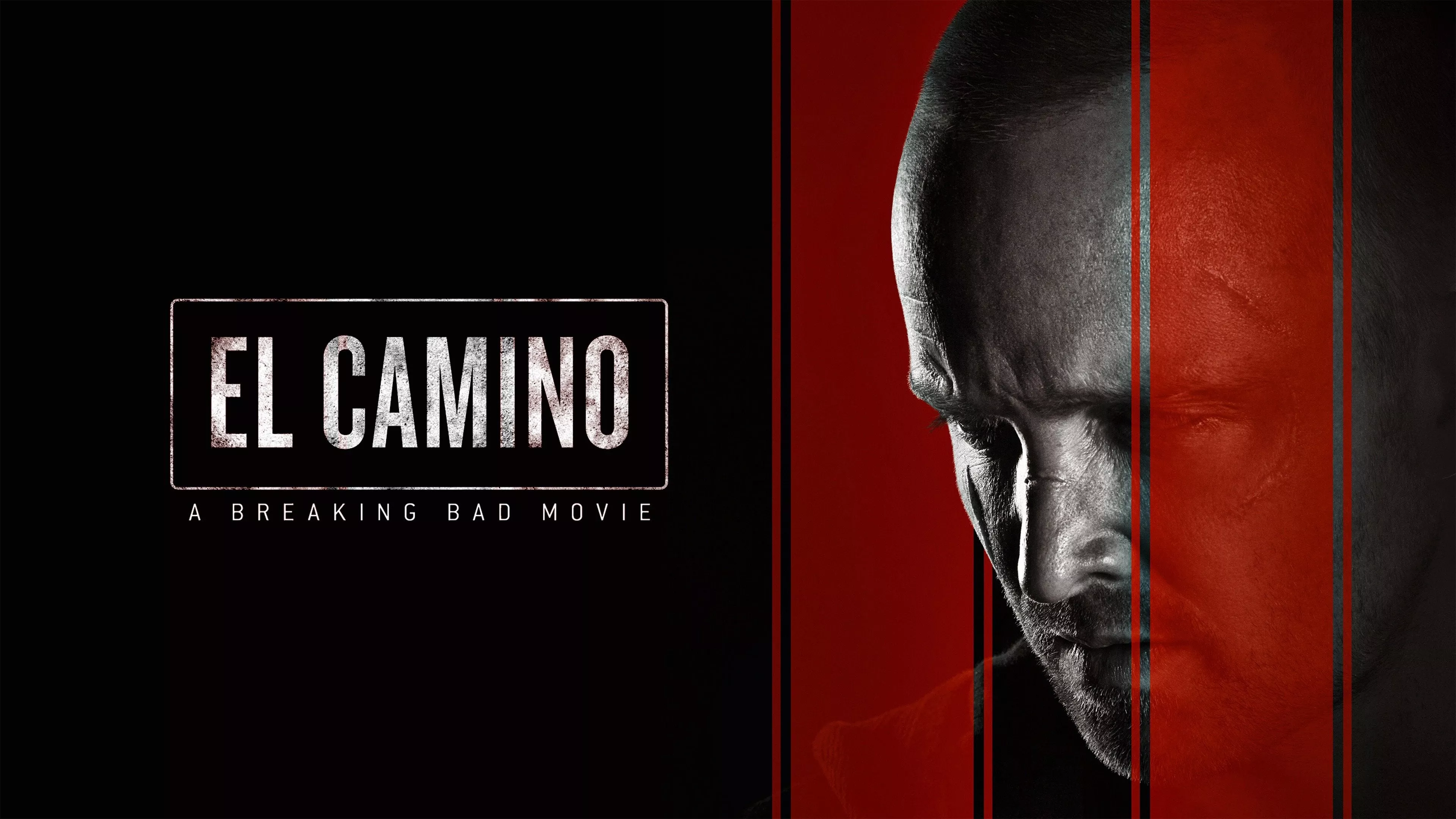 Breaking Bad Movie, covers