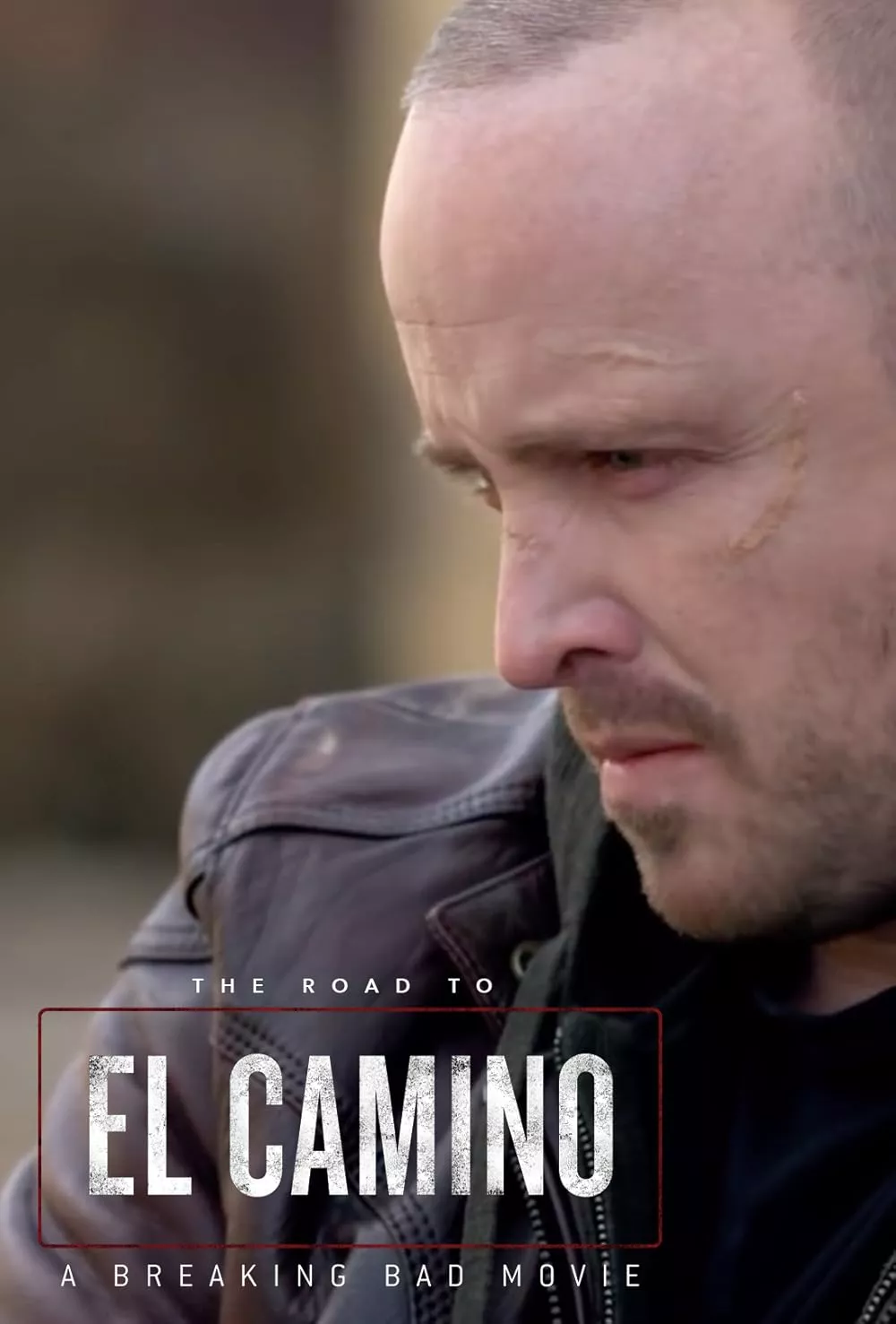 Breaking Bad Movie