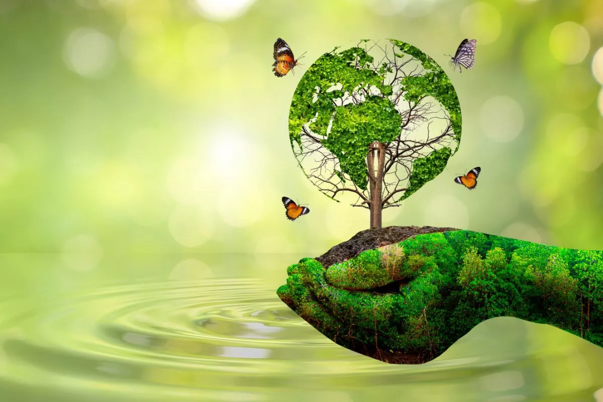 Green World: Shaping a Sustainable Future
