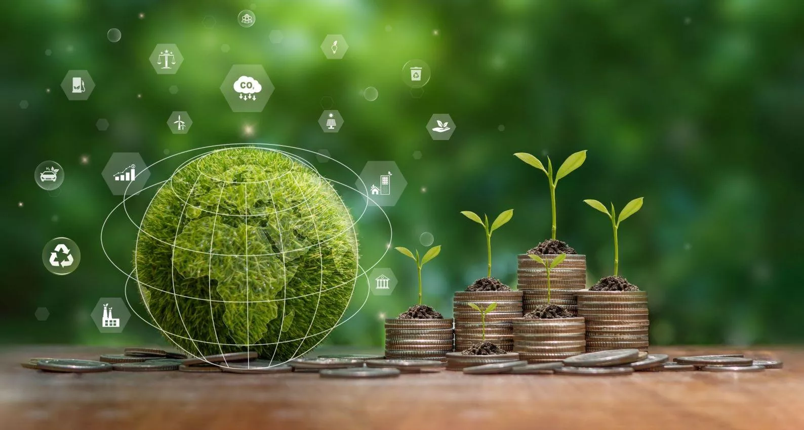 Sustainable Future with Green Bonds