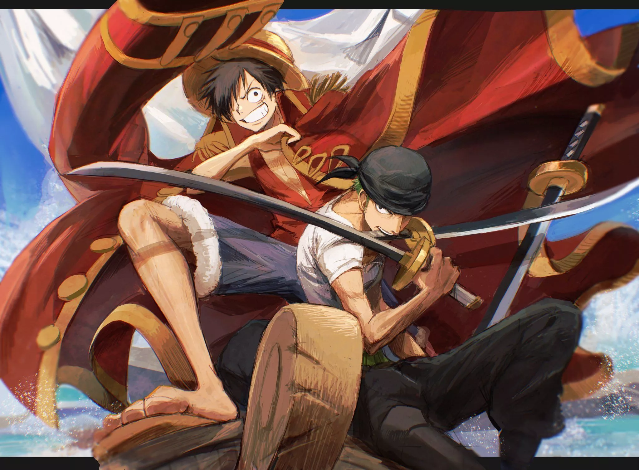 Roronoa Zoro Monkey D. Luffy Anime