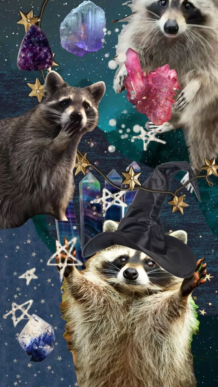 Magical Raccoons