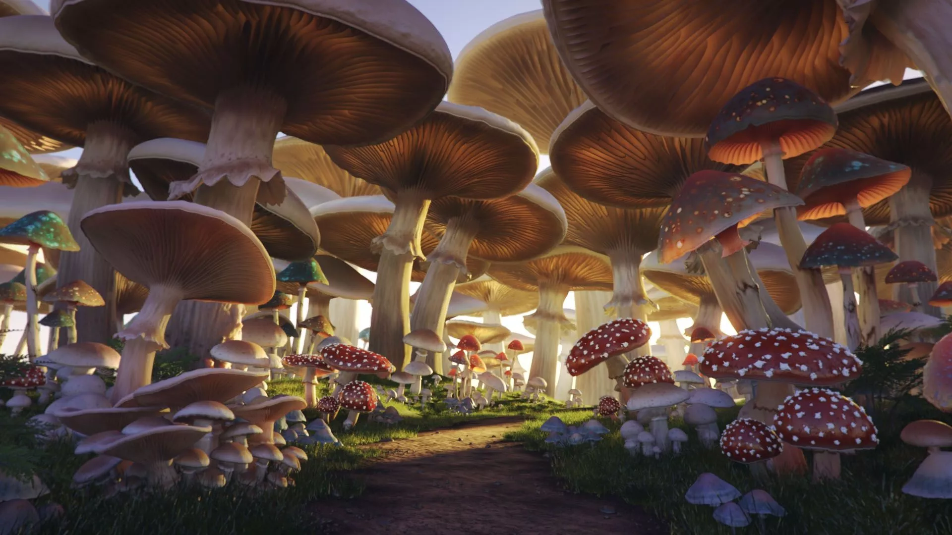 Wallpaper mushrooms, trail, Mushroom Forest for mobile and desktop, section фантастика, resolution 1920x1080