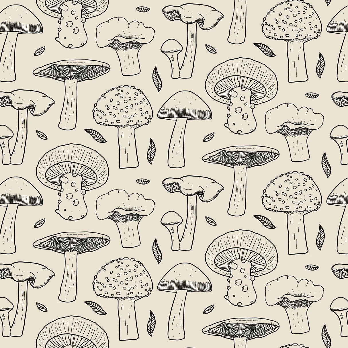 Mushroom Wallpaper & White