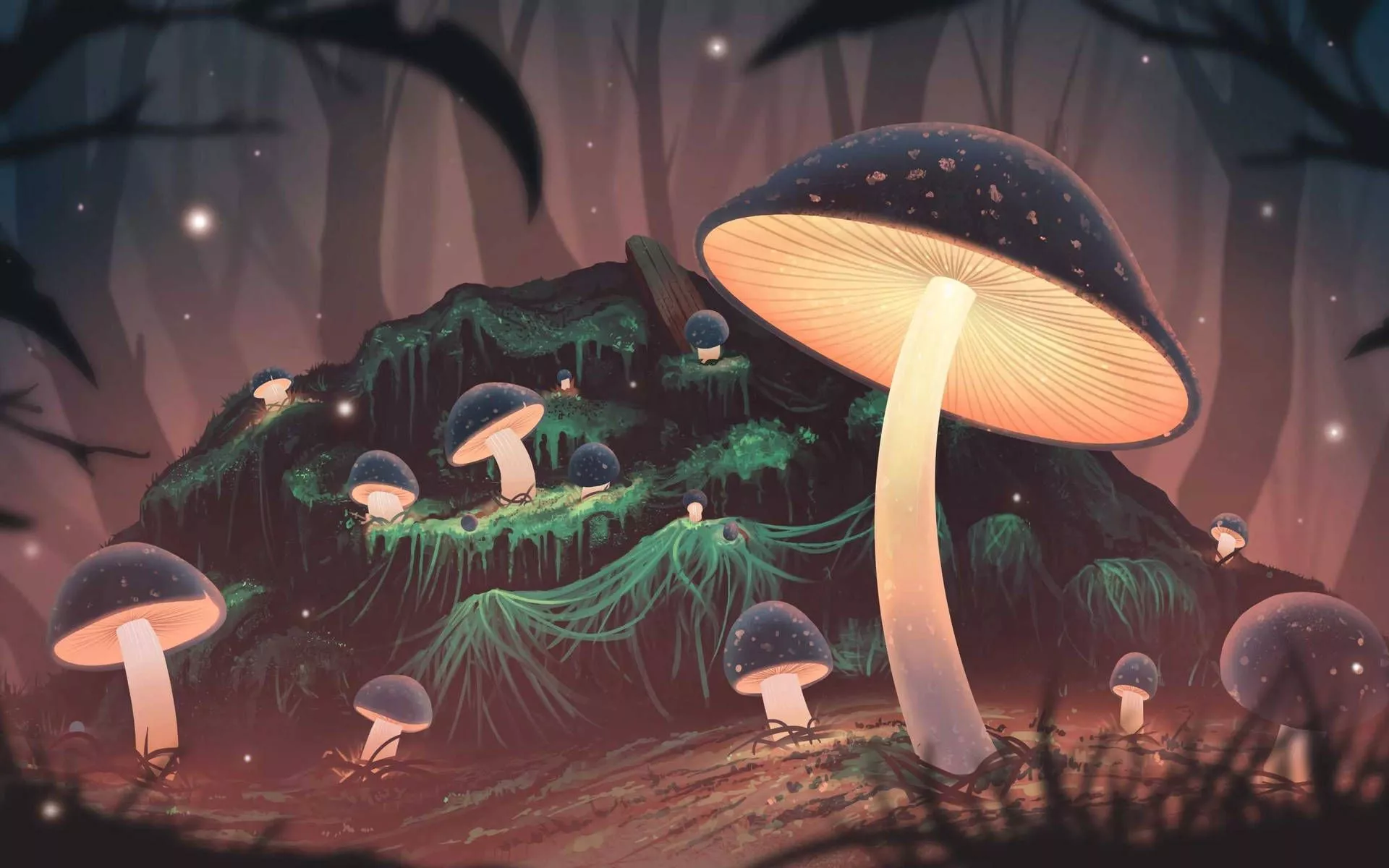Fantasy Art Mushroom Aesthetic