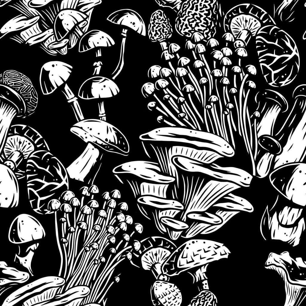 Black & White Mushrooms Wallpaper
