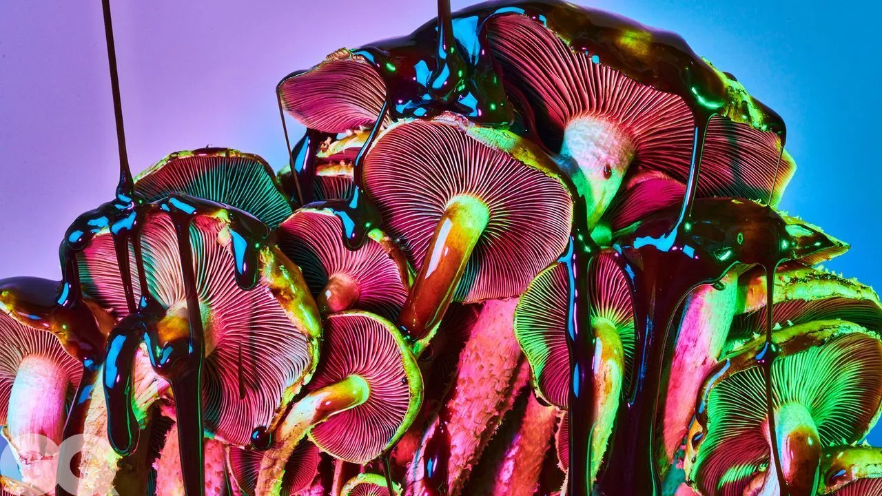Magic mushrooms are everywhere. Welcome