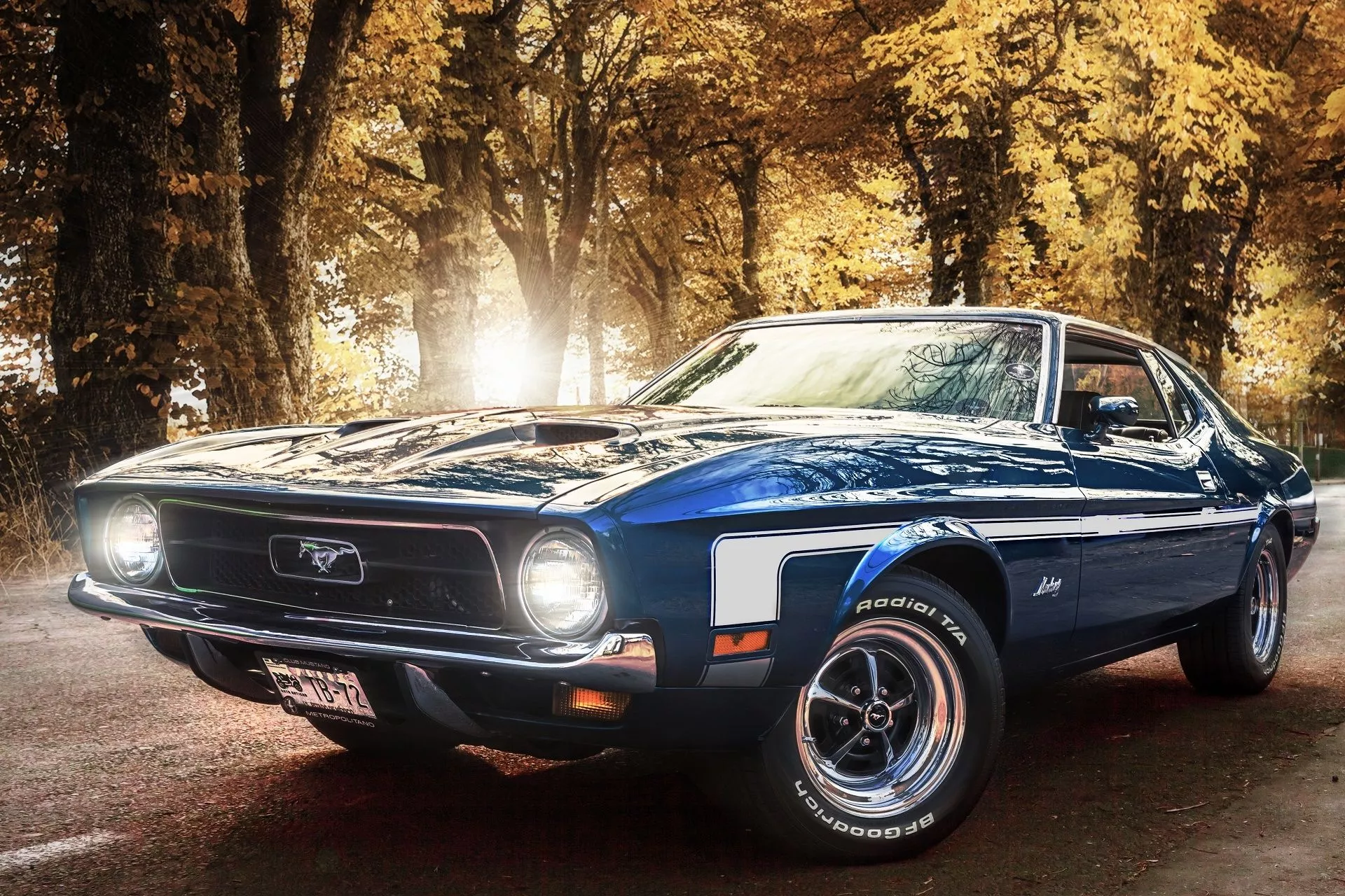 Wallpaper Mustang, Ford, Blue, Ford
