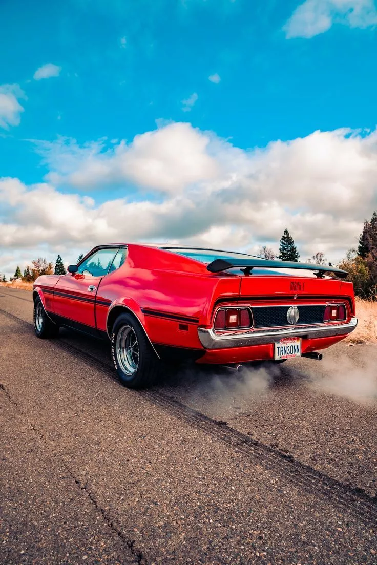 Restoration 1965 1973 Mustang Parts