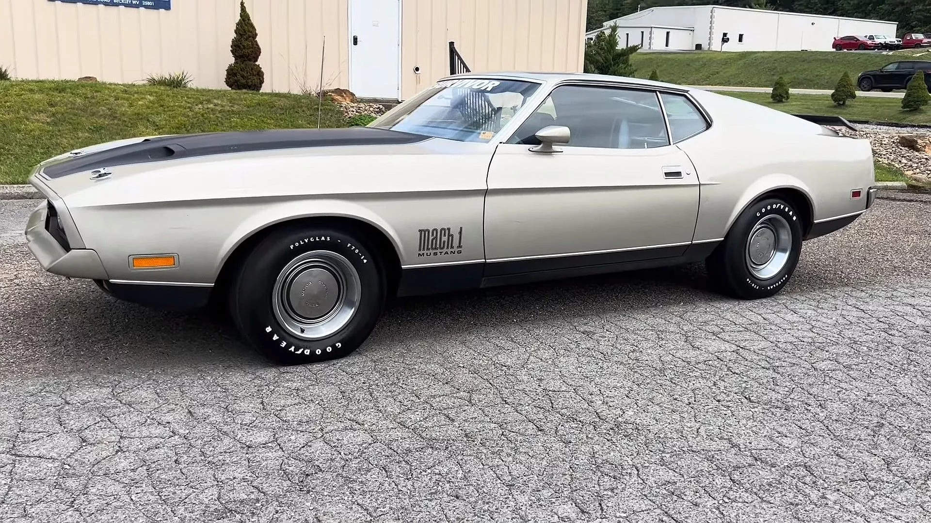 Ford Mustang Mach 1 Survivor