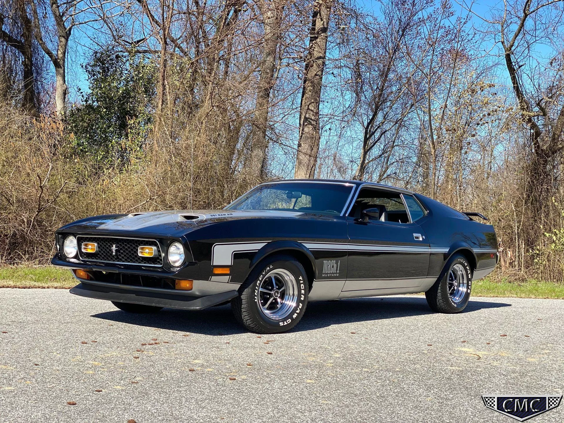 Ford Mustang. American Muscle CarZ