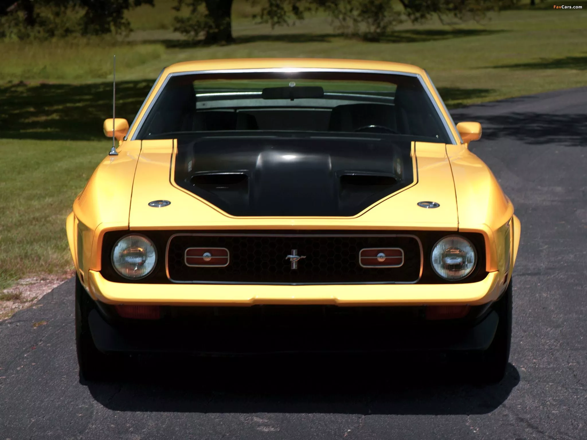 Mustang Mach 1 1971–72 wallpaper
