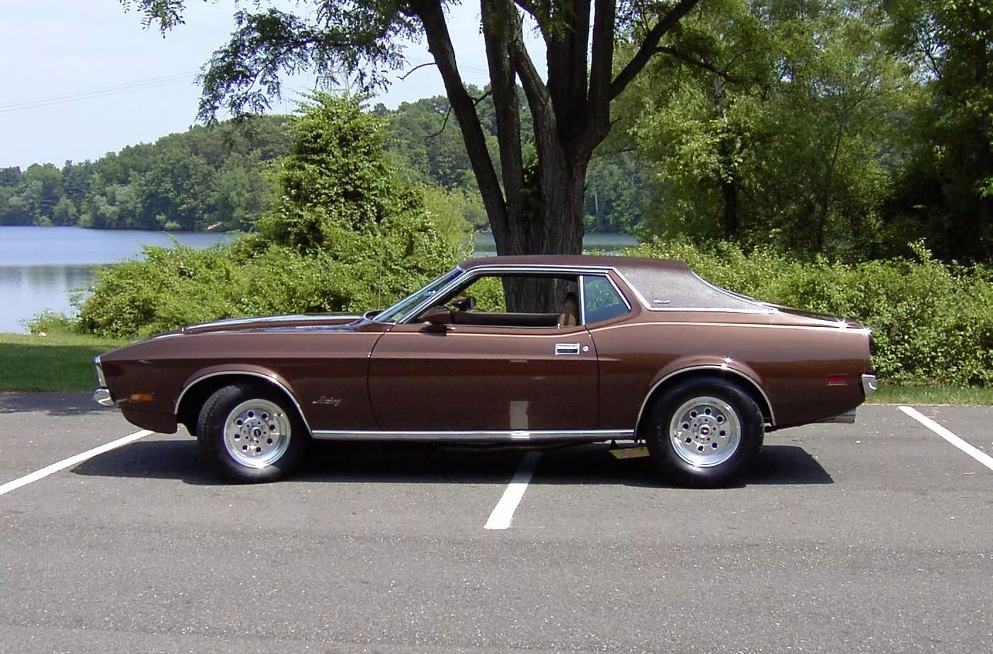 Ford Mustang Grande Picture, Mods