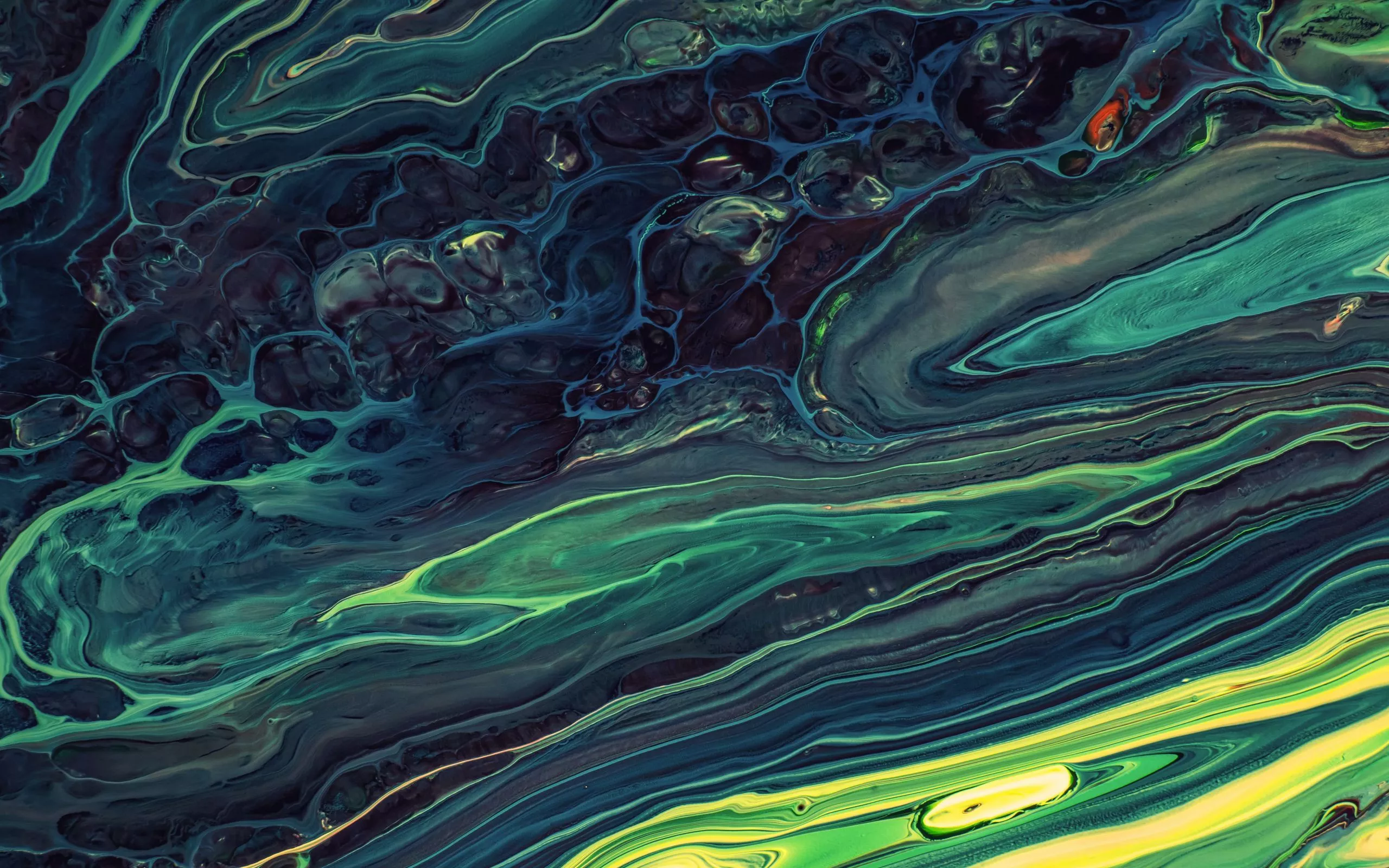 Download wallpaper 2560x1600 paint