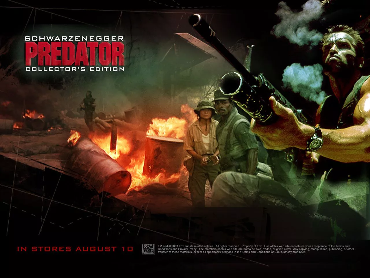 Predator Wallpaper vs. Predator