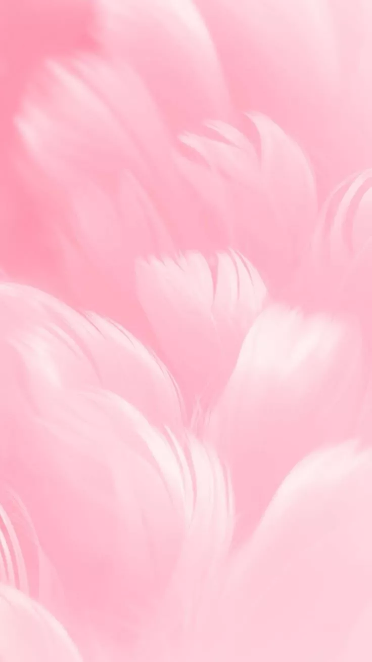 Pink feathers hd