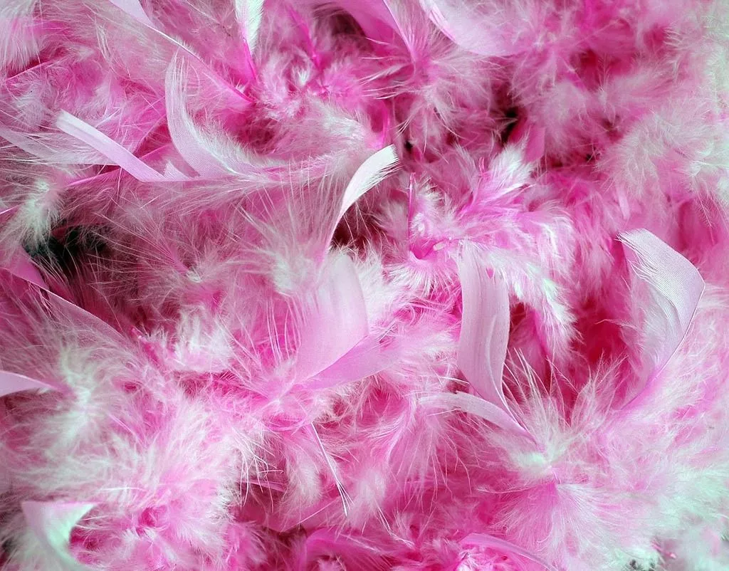 A close up of a bunch of pink feathers